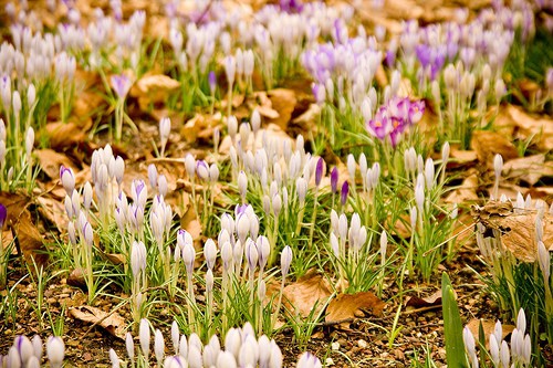 What do Easter and Bankruptcy have in common ?